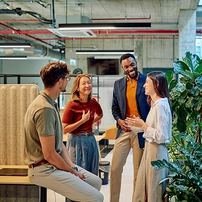 Cultura
 colaborativa